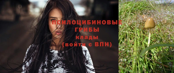 не бодяженный Арсеньев