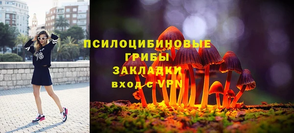 крисы Алзамай