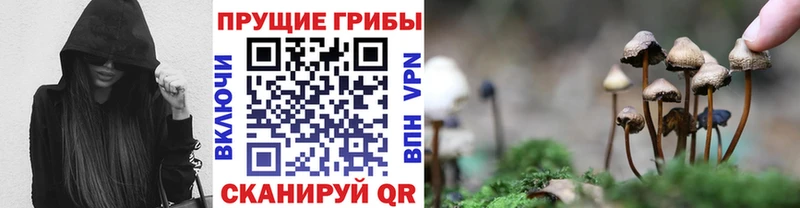 Галлюциногенные грибы Magic Shrooms  Усолье-Сибирское 